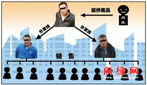 毒枭.jpg