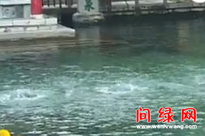 趵突泉.jpg