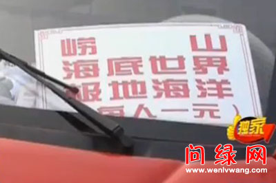 游客.jpg
