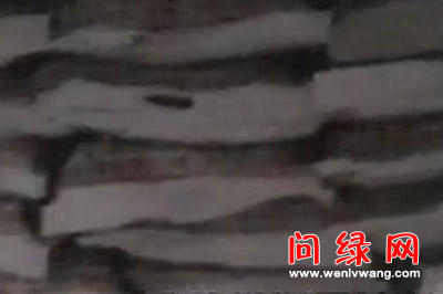 食盐.jpg