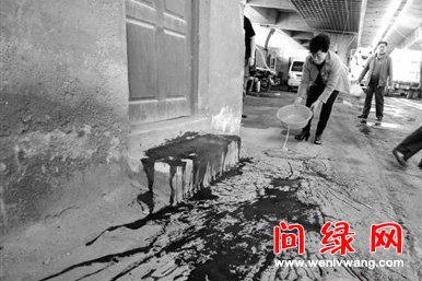 山东长清某村一夜之间"血流成河" 万物滴血