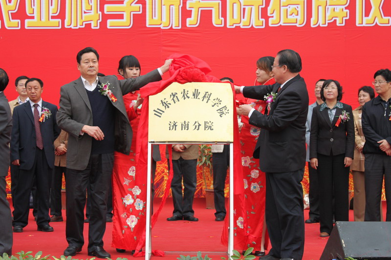 jiepai22.jpg