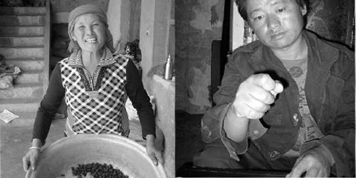 云南铬污染四疑问待解:铬渣为何堆放20余年