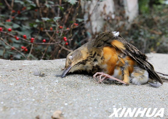 󹫵һֻȺ󲻾ȥ1017㣩»緢Ǯ 㣩