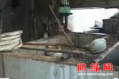 地沟油.jpg