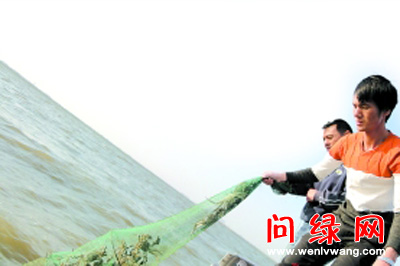 爱国.jpg