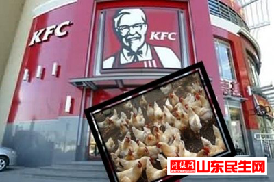 肯德基x.jpg