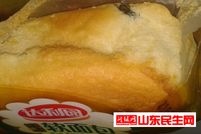 面包.jpg