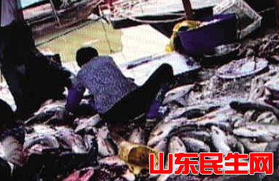 鱼干作坊.jpg