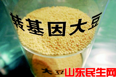 转基因大豆.jpg