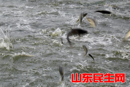 水产品.jpg